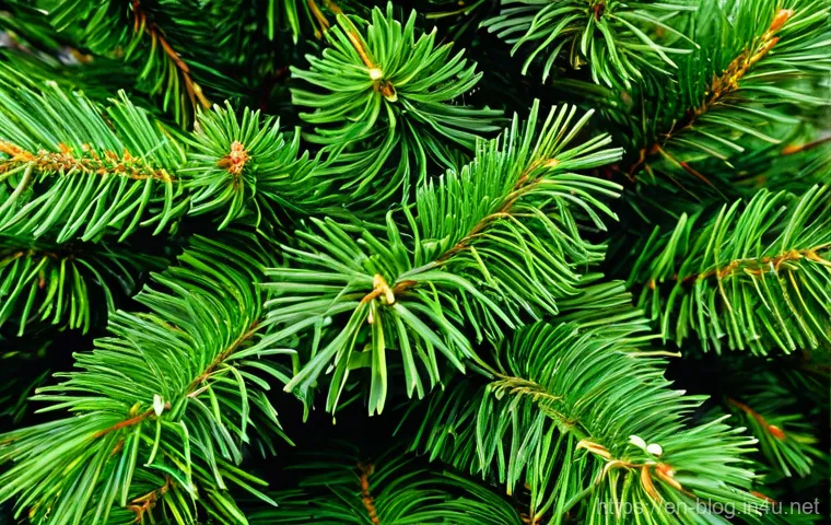 블로그 마케팅과 SNS 마케팅 병행 전략 - Here are three detailed image prompts in English, designed to be appropriate for a 15+ audience and ... 블로그 마케팅과 SNS 마케팅 병행 전략 - Here are three detailed image prompts in English, designed to be appropriate for a 15+ audience and ...